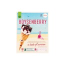 Woolworths-Ice-Cream-Cones-475ml-Pk-4-From-the-Freezer Sale