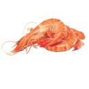Thawed-Large-Cooked-Australian-Tiger-Prawns Sale
