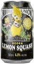 Brookvale-Union-Vodka-6-Varieties-4-Pack Sale