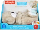 Fisher-Price-Soothe-N-Snuggle-Otter Sale