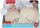 Fisher-Price-Soothe-Settle-Bunny Sale