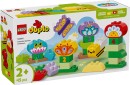 LEGO-Duplo-Creative-Garden-and-Flowers-10444 Sale