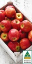 Australian-Pink-Lady-Apples Sale