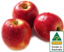 Australian-Pink-Lady-Apples Sale