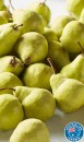 Australian-Packham-Pears Sale