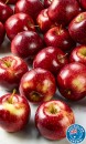 Australian-Bravo-Apples Sale