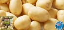 Coles-Australian-Washed-Carisma-Potatoes-2kg-Bag Sale