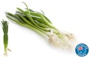 Australian-Spring-Onions-Bunch Sale