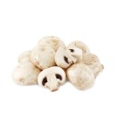 Australian-Loose-Cup-Mushrooms Sale