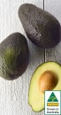 Australian-Hass-Avocados Sale