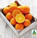 Australian-Navel-Oranges Sale
