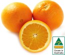 Australian-Navel-Oranges Sale