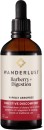 Wanderlust-Barberry-Digestion-Liquid-90ml Sale