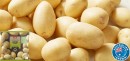 Coles-Australian-Washed-Carisma-Potatoes-2kg-Bag Sale
