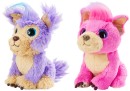 Little-Live-Pets-Scruff-A-Luvs-Cutie-Cuts-Playset Sale