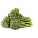 Australian-Broccolini-Bunch Sale