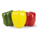 Australian-Red-Green-or-Yellow-Capsicums Sale