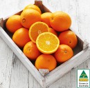 Australian-Navel-Oranges Sale