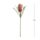 Artificial-Dried-Banksia-Stem-by-MUSE Sale