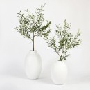 Marly-Vase-by-MUSE Sale