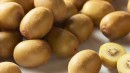 Gold-Kiwifruit Sale