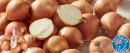 Coles-Australian-Brown-Onions-1kg-Bag Sale