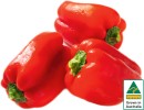 Australian-Red-Capsicum Sale