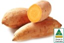 Australian-Gold-Sweet-Potatoes Sale