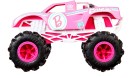 Hot-Wheels-Assorted-Remote-Control-124-Scale-Monster-Trucks Sale