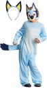 Selected-Bluey-Costumes Sale