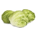 Australian-Iceberg-Lettuce Sale