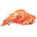Thawed-Extra-Large-Cooked-Australian-Tiger-Prawns Sale