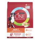 Purina-One-Dry-Dog-Food-6-kg Sale
