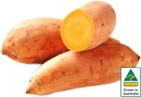Australian-Gold-Sweet-Potatoes Sale