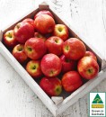 Australian-Pink-Lady-Apples Sale