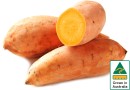 Australian-Gold-Sweet-Potatoes Sale