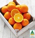 Australian-Navel-Oranges Sale