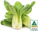 Australian-Baby-Bok-Choy Sale