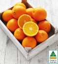 Australian-Navel-Oranges Sale