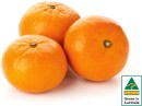 Australian-Mandarins Sale