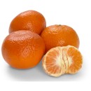 Australian-Afourer-Mandarins Sale