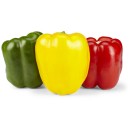 Australian-Red-Green-or-Yellow-Capsicums Sale