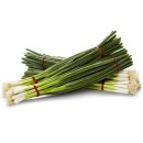 Australian-Spring-Onions Sale