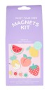 Paint-Your-Own-Magnets-Kit Sale