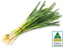 Australian-Eschalots-Bunch Sale