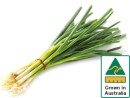 Australian-Eschalots-Bunch Sale