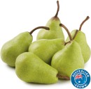 Australian-Packham-Pears Sale