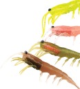 Clone-Prawn-by-Prolure Sale