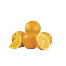 Australian-Navel-Oranges Sale