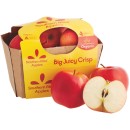 Australian-Organic-Southern-Bliss-Apples-1-kg-Pack Sale